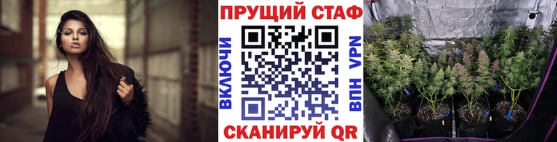 Купить закладку Каннабис  Меф мяу мяу  A PVP  Гашиш  Мичуринск
