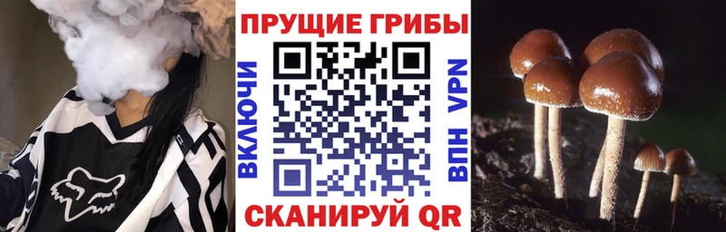 Галлюциногенные грибы MAGIC MUSHROOMS  Купить  Мичуринск 