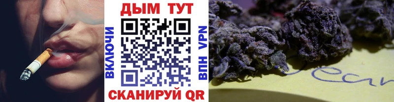 Купить закладки  Мичуринск  Шишки марихуана VHQ 